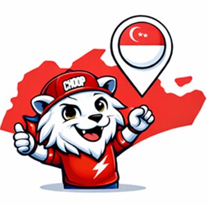 Corporate Gifts Printed Locally in Singapore