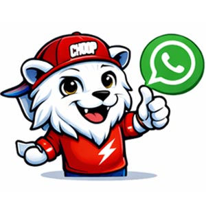 Real Human WhatsApp Support